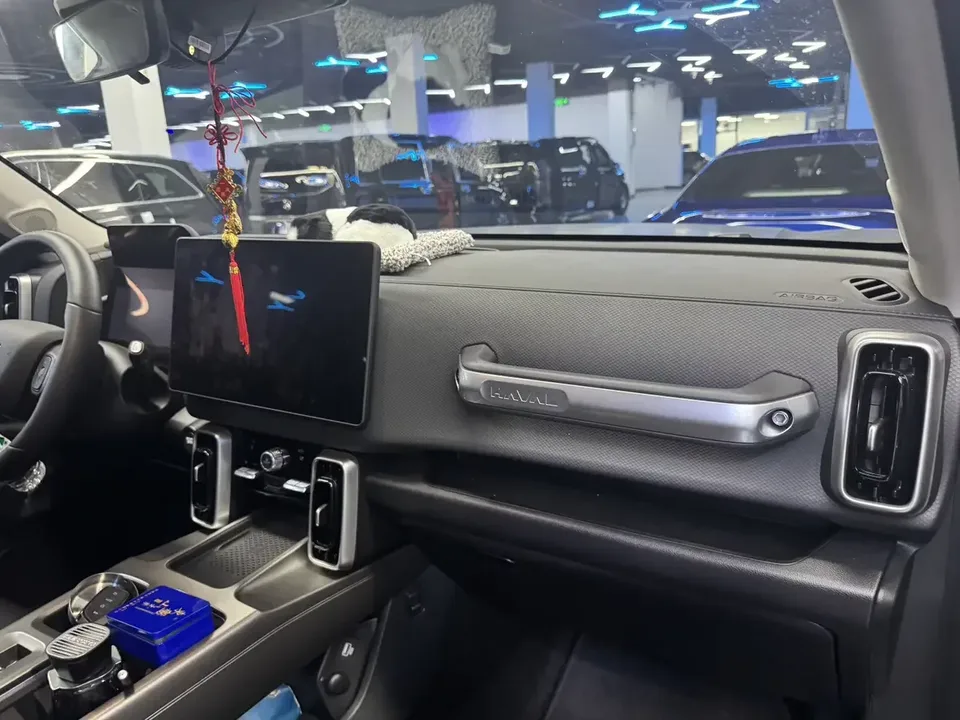 Haval Dargo Harvard dog 2024 1.5T 2WD Border Collie Edition 2025 — thumbnail 5