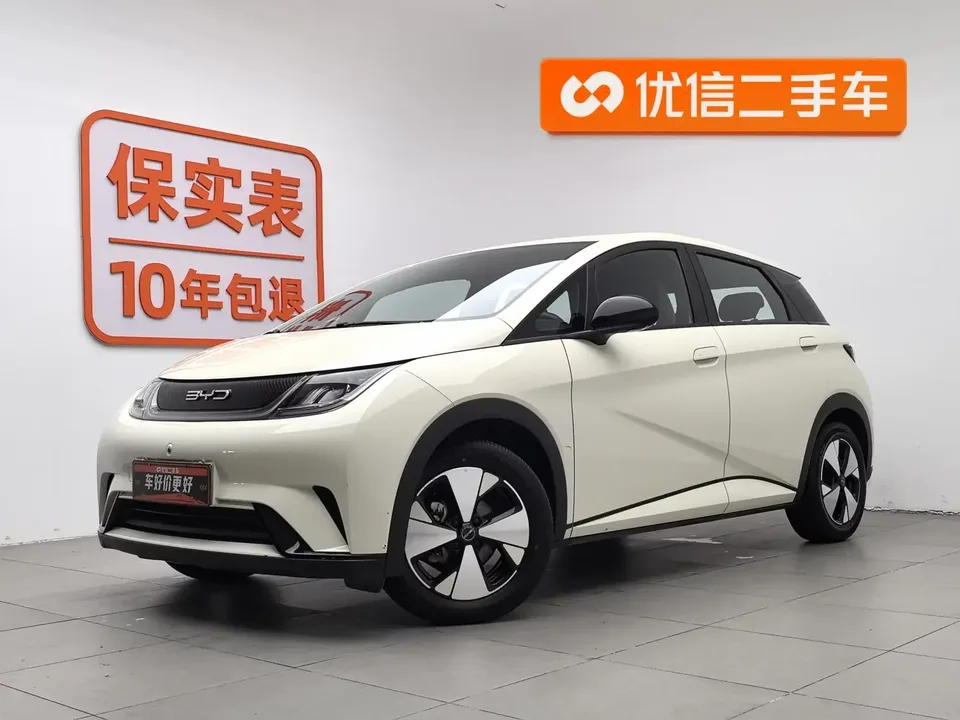 BYD Dolphin dolphin 2023 Free version 2024 — photo 1, buy with delivery to Moscow