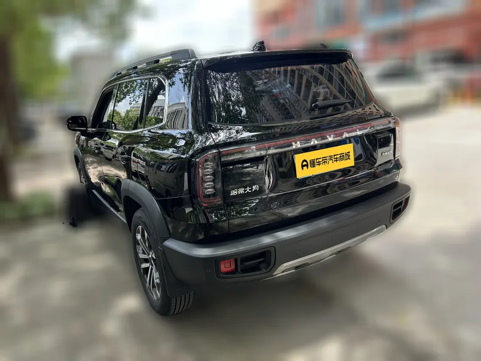 Haval Dargo Harvard dog 2024 1.5T 2WD Border Collie Edition 2024 — thumbnail 2