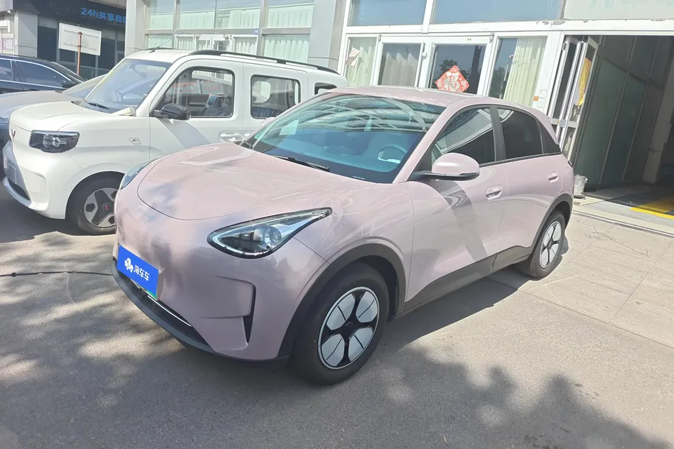 Geely Star Wish Star Wish 2025 310km Youth Edition 2025 — photo 1, buy with delivery to Moscow