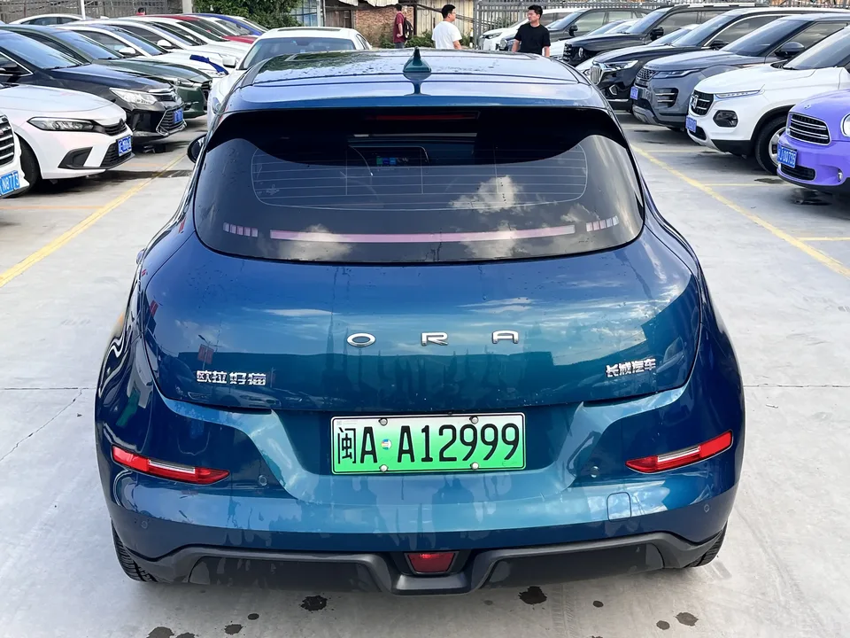 ORA Euler good cat Euler good cat 2023 401km standard endurance luxury lithium iron phosphate 2024 — thumbnail 2