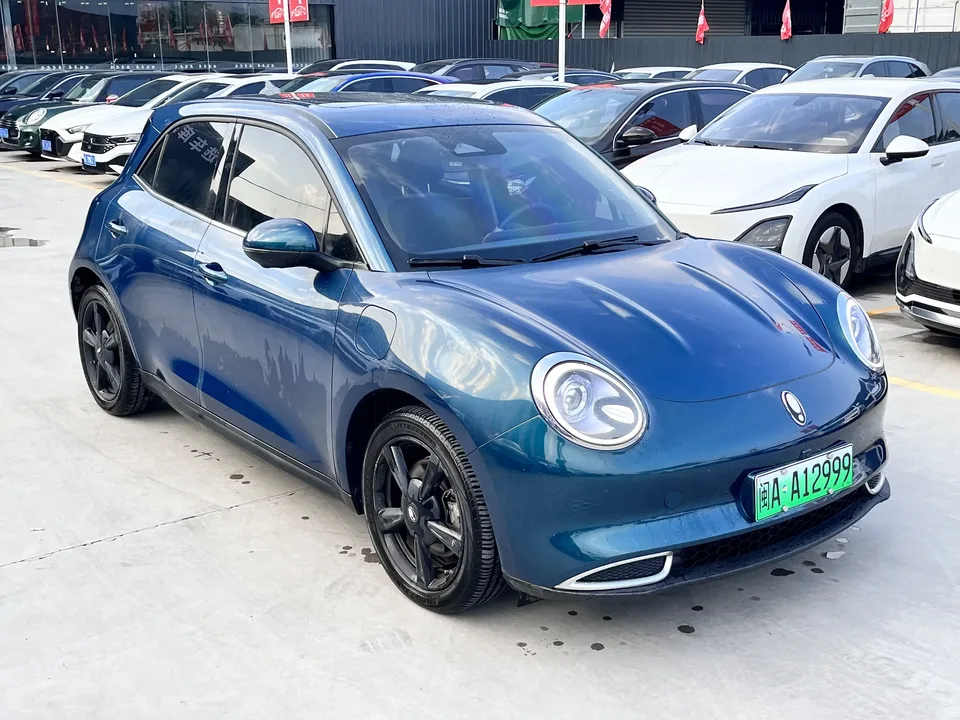 ORA Euler good cat Euler good cat 2023 401km standard endurance luxury lithium iron phosphate 2024 — thumbnail 3