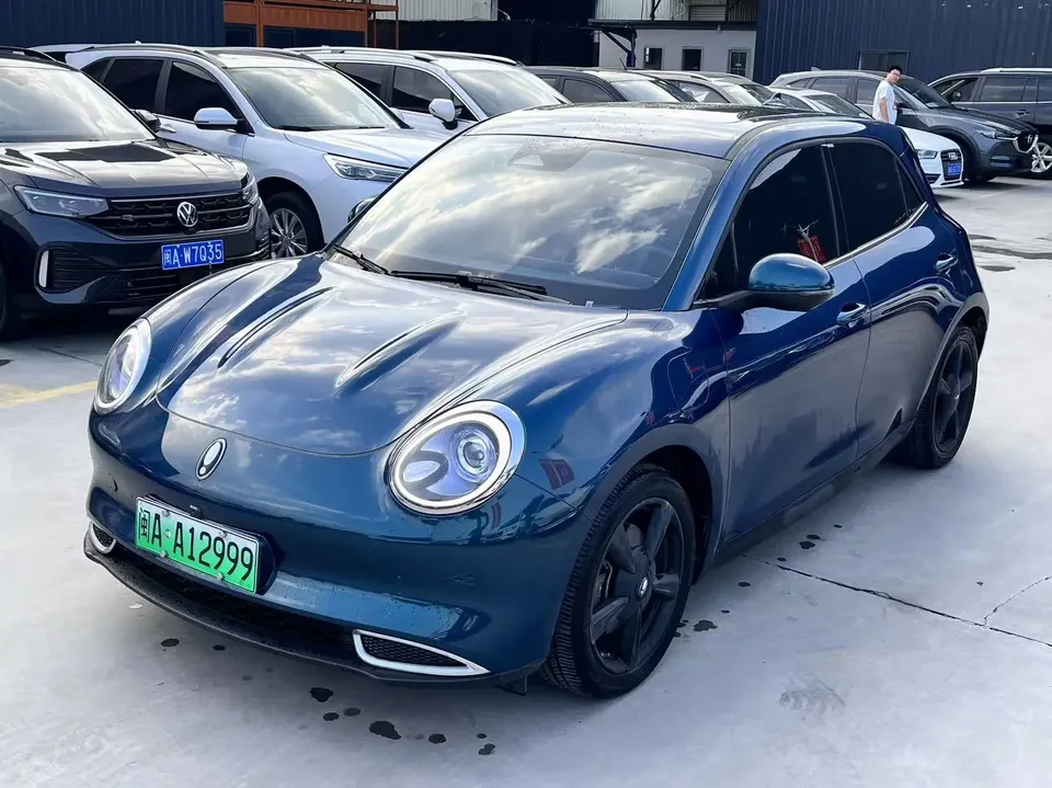 ORA Euler good cat Euler good cat 2023 401km standard endurance luxury lithium iron phosphate 2024 — photo 1, buy with delivery to Moscow