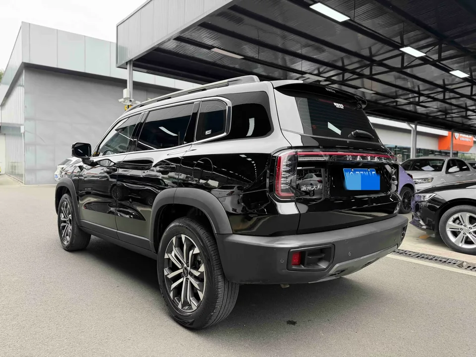 Haval Dargo Harvard dog 2024 1.5T 2WD Border Collie Edition 2024 — thumbnail 2