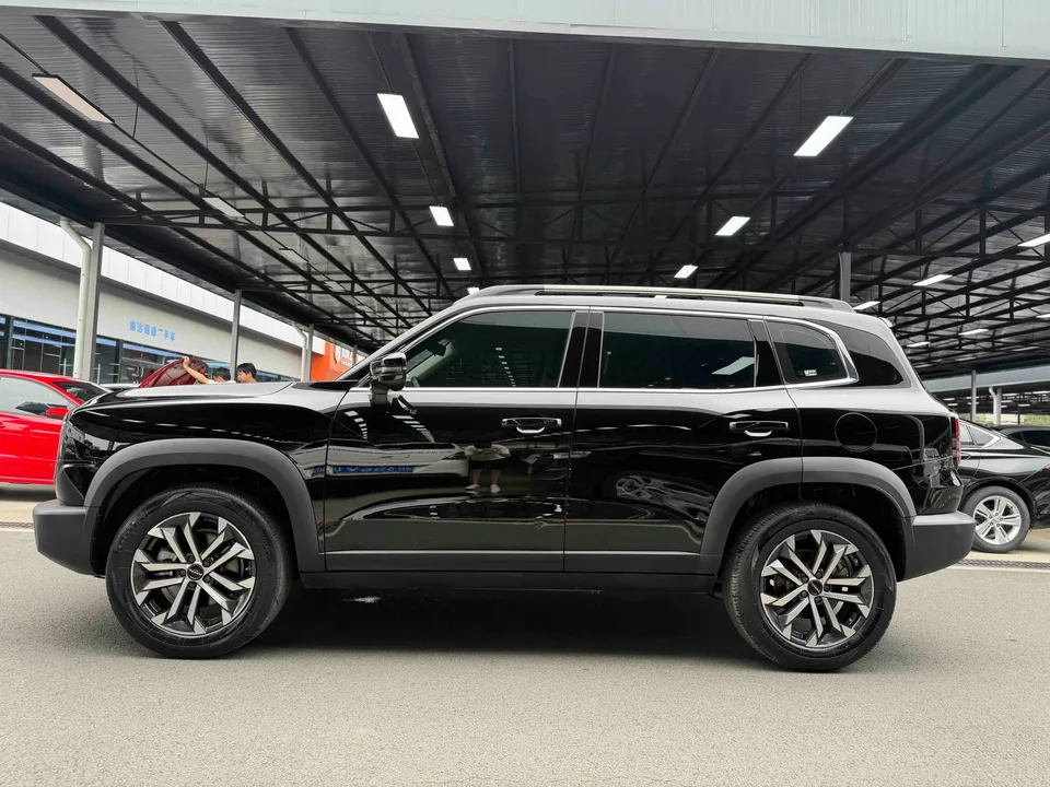Haval Dargo Harvard dog 2024 1.5T 2WD Border Collie Edition 2024 — thumbnail 4
