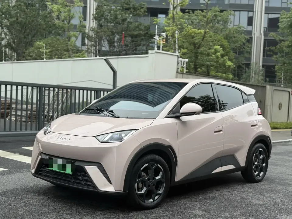 BYD Seagull seagull 2025 405KM Flying Edition 2025 — photo 1, buy with delivery to Moscow