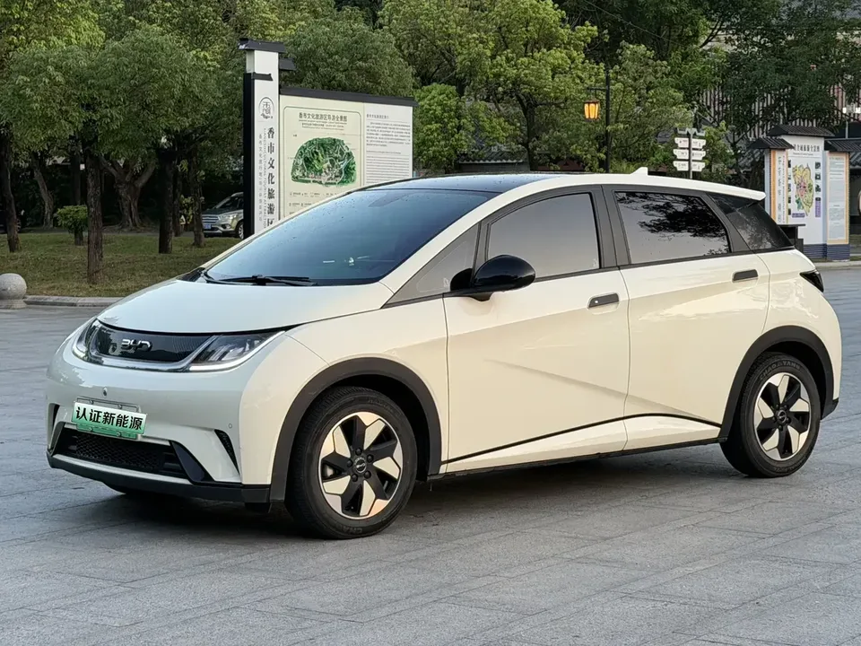 BYD Dolphin dolphin 2024 Honor Edition 420km Fashion Edition 2024 — photo 1, buy with delivery to Moscow