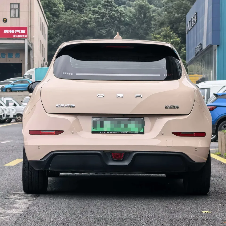 ORA Euler good cat Euler good cat 2023 401km standard endurance luxury lithium iron phosphate 2024 — thumbnail 2