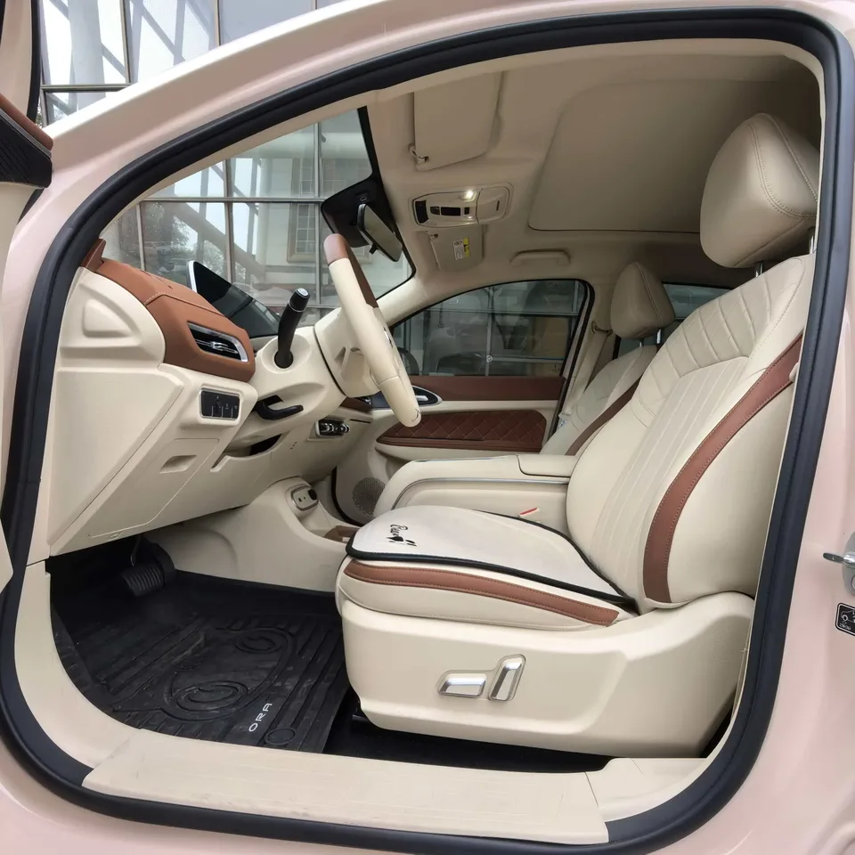 ORA Euler good cat Euler good cat 2023 401km standard endurance luxury lithium iron phosphate 2024 — thumbnail 5
