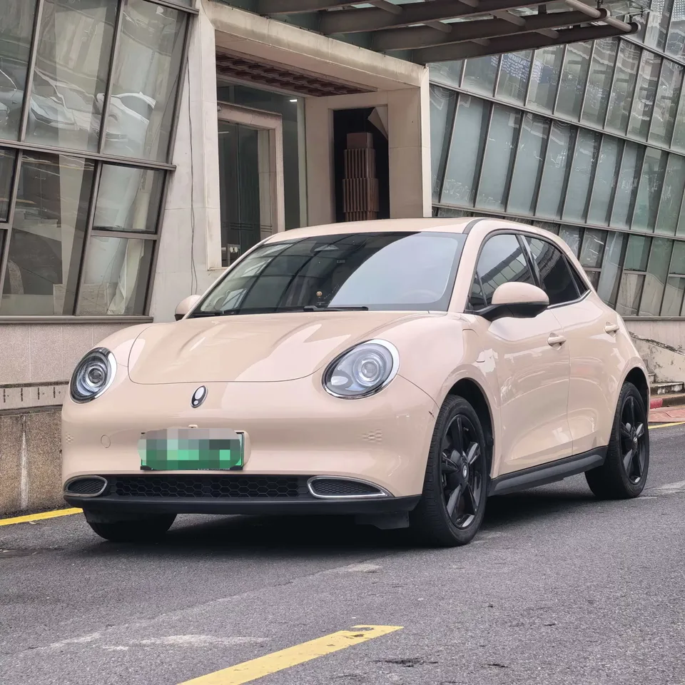 ORA Euler good cat Euler good cat 2023 401km standard endurance luxury lithium iron phosphate 2024 — photo 1, buy with delivery to Moscow