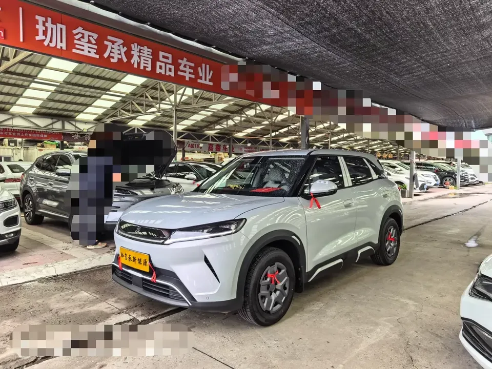 BYD Yuan Up Yuan UP 2025 301KM Pilot 2026 — фото 1, купить с доставкой в Москву