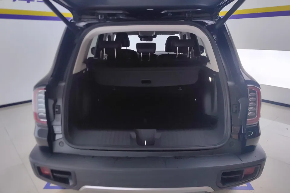 Haval Dargo Harvard dog 2022 1.5T 2WD Border Collie Edition 2023 — thumbnail 5