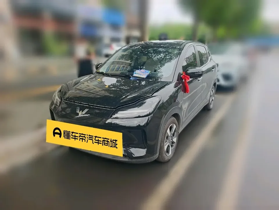 Wuling Bingo PLUS Wuling Bingo PLUS 2024 510km Flagship Edition 2024 — photo 1, buy with delivery to Moscow
