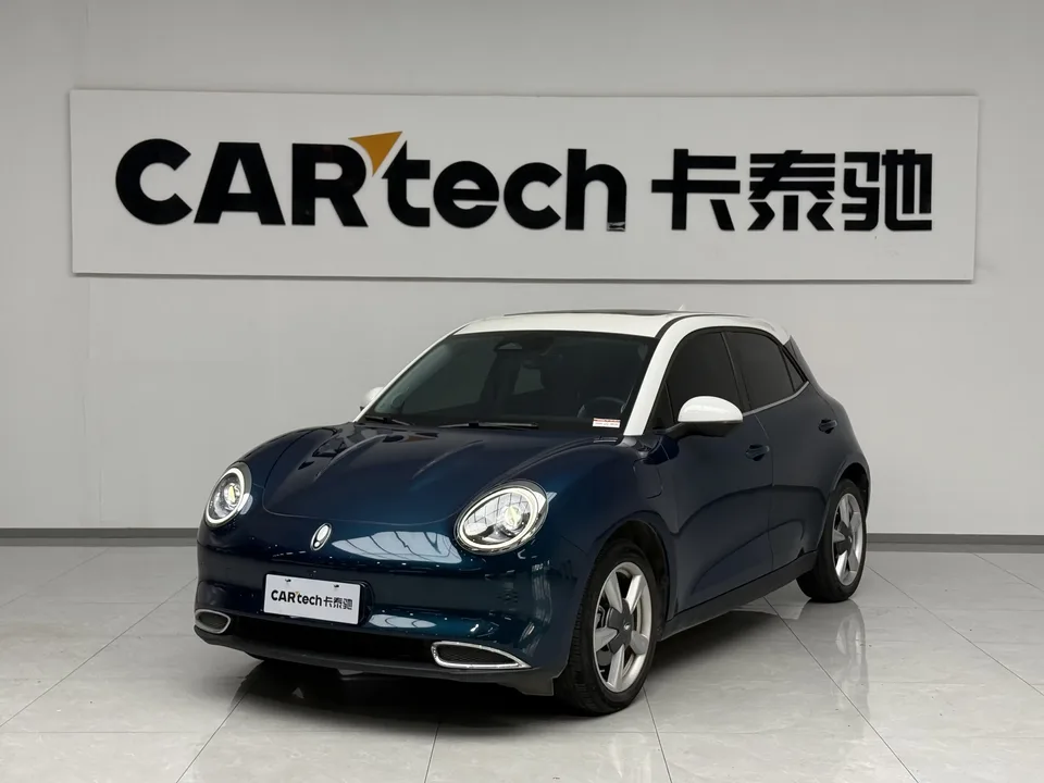 ORA Euler good cat Euler good cat 2022 Morandi version 400km standard endurance premium ternary lithium 2022 — photo 1, buy with delivery to Moscow
