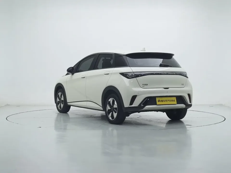 BYD Dolphin dolphin 2025 420KM Free Edition 2025 — thumbnail 2