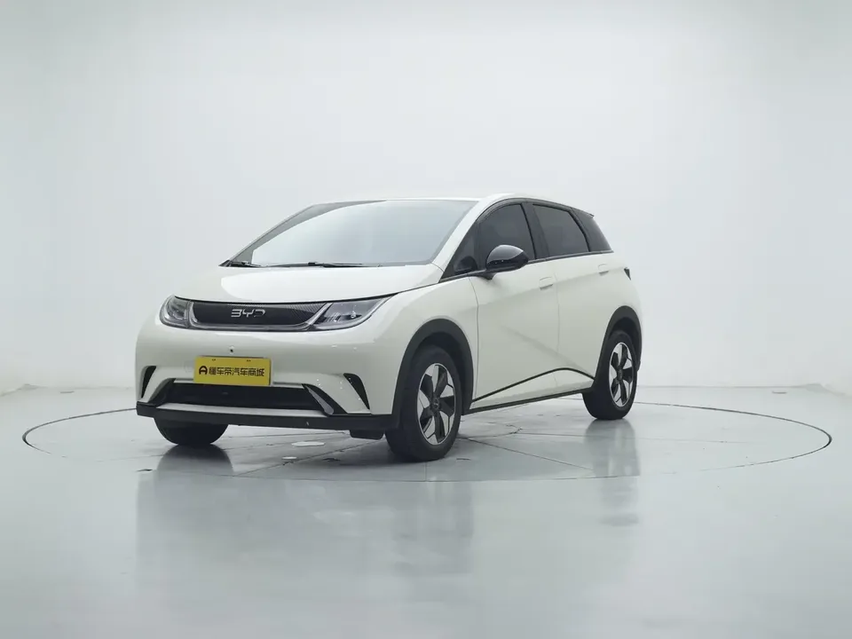 BYD Dolphin dolphin 2025 420KM Free Edition 2025 — photo 1, buy with delivery to Moscow