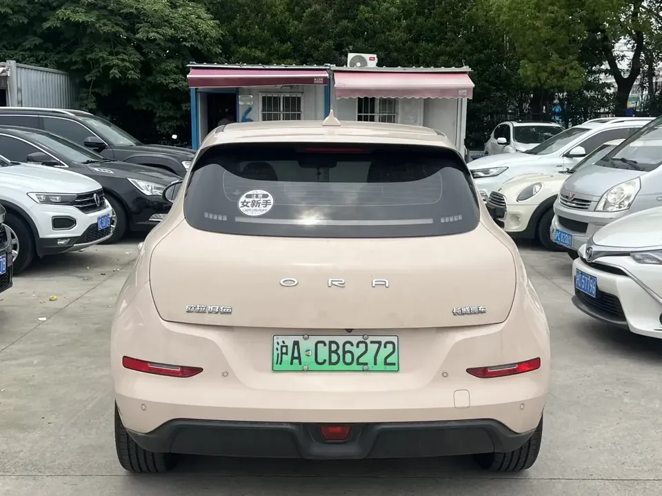 ORA Euler good cat Euler good cat 2021 400km standard range Muse version ternary lithium battery 2023 — thumbnail 2