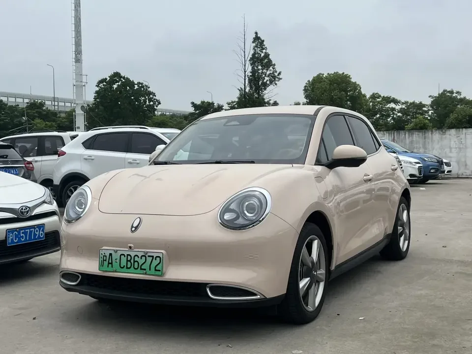 ORA Euler good cat Euler good cat 2021 400km standard range Muse version ternary lithium battery 2023 — photo 1, buy with delivery to Moscow