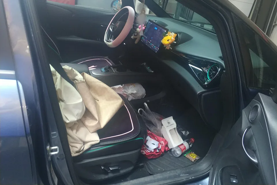 BYD Dolphin dolphin 2025 Smart Driving Edition 410KM Fashion Edition 2025 — thumbnail 3