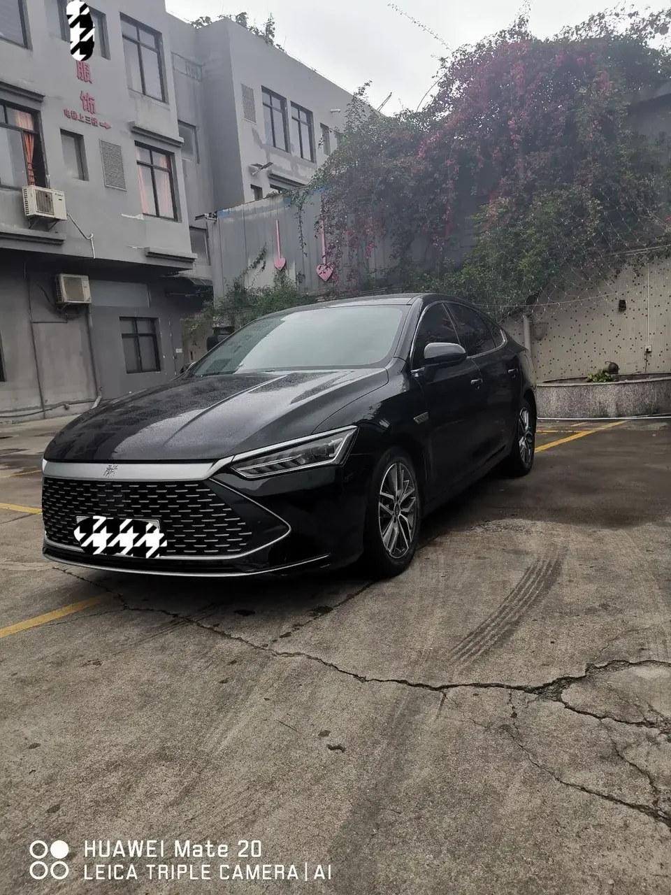 BYD Qin PLUS DM Qin PLUS DM 2021 DM-i 55KM Flagship 2022 — photo 1, buy with delivery to Moscow