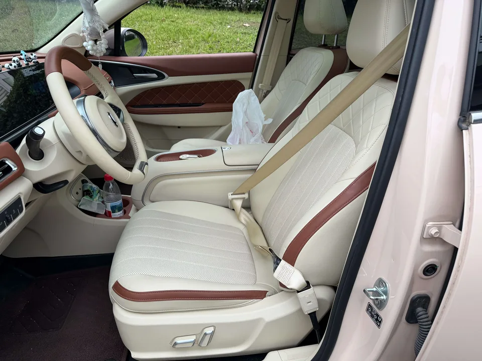 ORA Euler good cat Euler good cat 2024 401km Premium 2024 — thumbnail 4