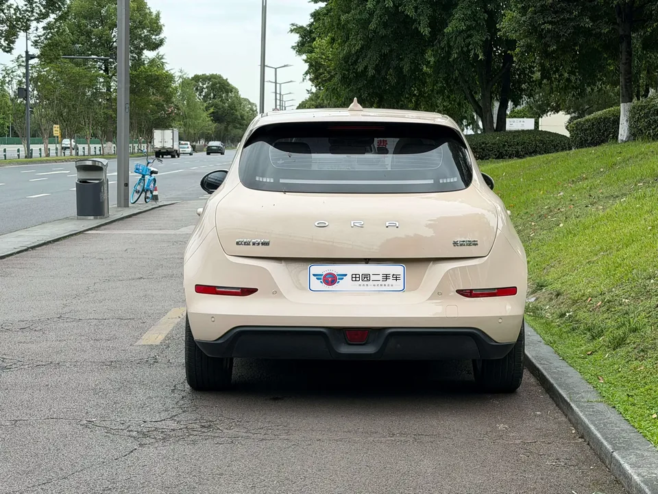 ORA Euler good cat Euler good cat 2024 401km Premium 2024 — миниатюра 5