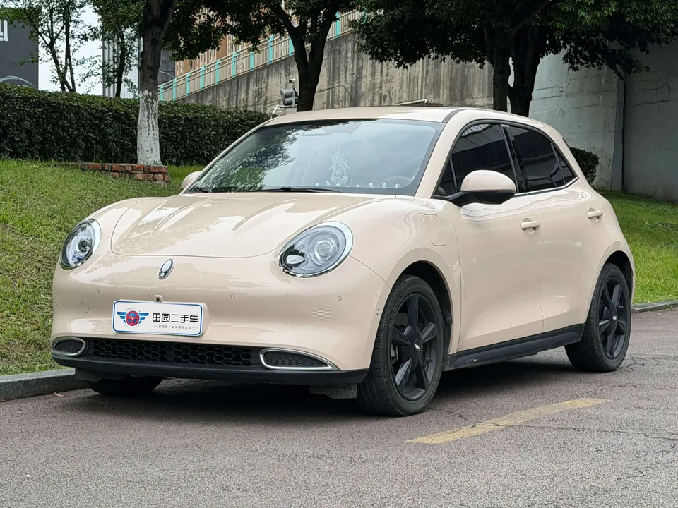 ORA Euler good cat Euler good cat 2024 401km Premium 2024 — photo 1, buy with delivery to Moscow