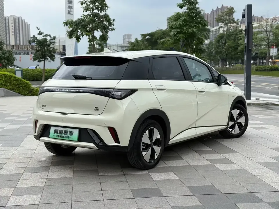BYD Dolphin dolphin 2023 Free version 2024 — thumbnail 2