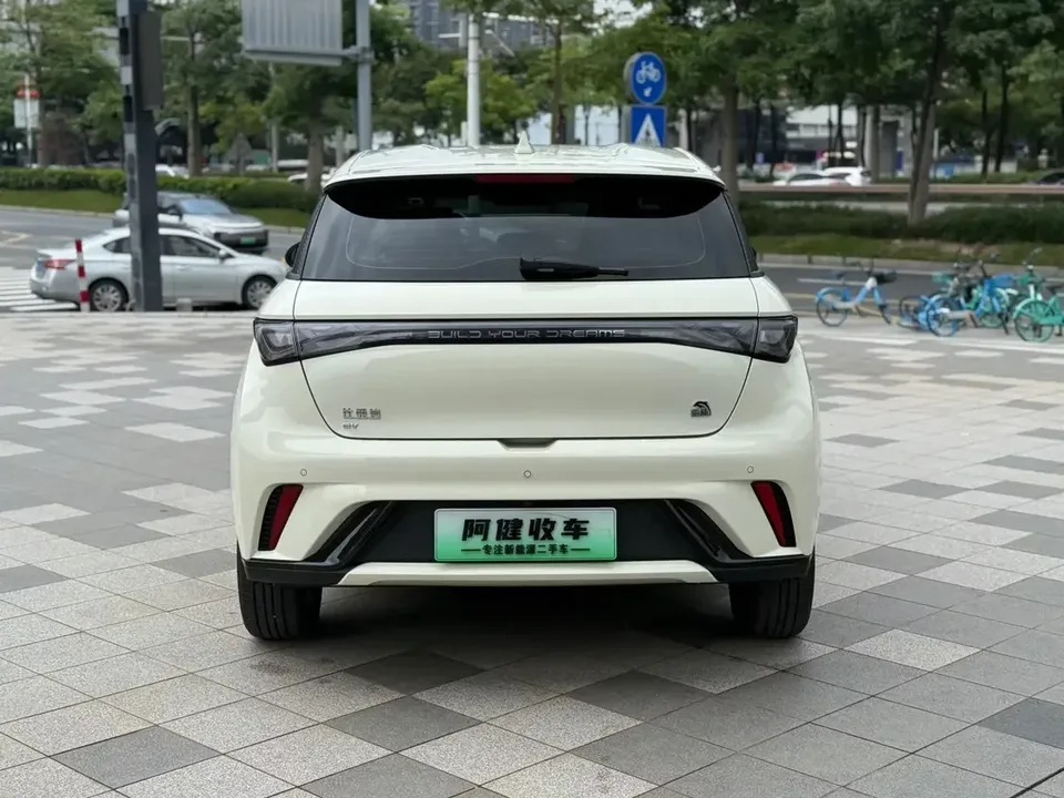 BYD Dolphin dolphin 2023 Free version 2024 — thumbnail 4