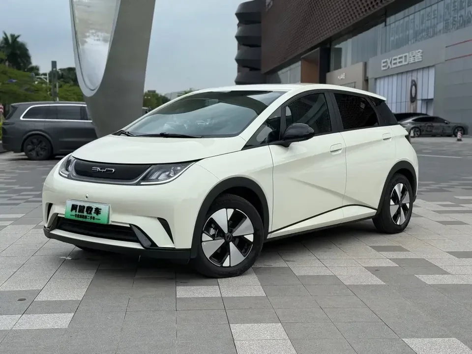 BYD Dolphin dolphin 2023 Free version 2024 — photo 1, buy with delivery to Moscow