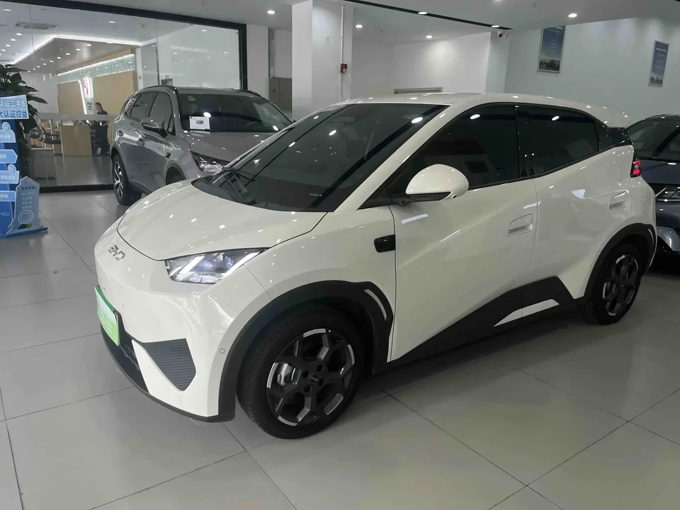 BYD Seagull seagull 2025 Smart Driving Edition 305KM Free Edition 2025 — photo 1, buy with delivery to Moscow