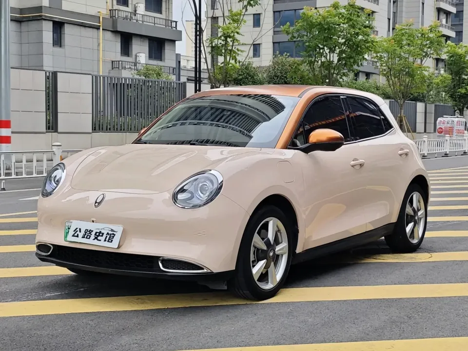 ORA Euler good cat Euler good cat 2022 400km standard endurance luxury lithium iron phosphate 2022 — photo 1, buy with delivery to Moscow