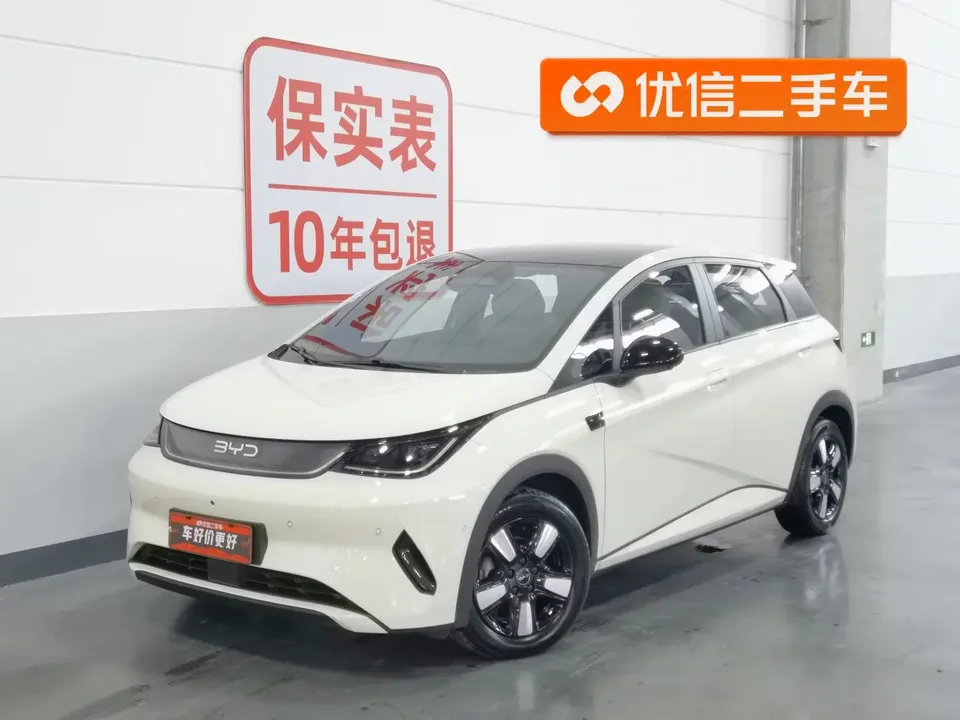 BYD Dolphin dolphin 2025 Smart Driving Edition 410KM Fashion Edition 2025 — photo 1, buy with delivery to Moscow