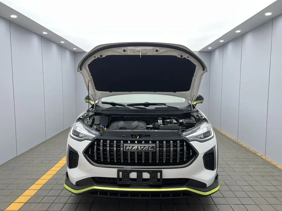 Haval Harvard Red Rabbit Harvard Red Rabbit 2022 Jinxiang Edition 1.5T Copper Rabbit 2022 — thumbnail 3