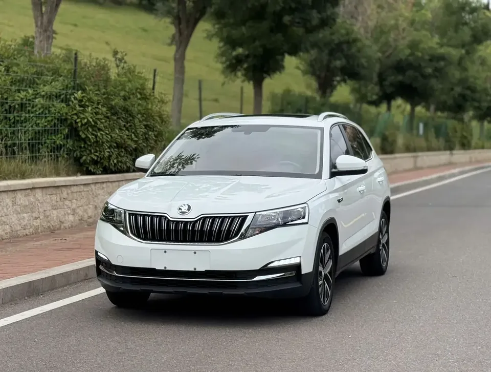 Skoda Comek Comek 2023 Modified 1.5L Automatic Comfort Edition 2023 — photo 1, buy with delivery to Moscow