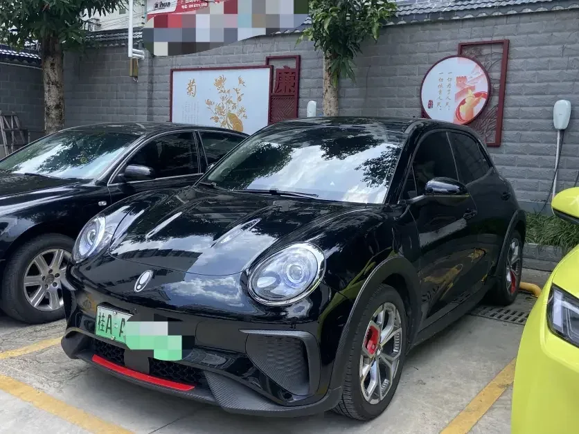 ORA Euler Good Cat GT Euler Good Cat GT 2023 Mulan Edition 401km Luxury 2023 — photo 1, buy with delivery to Moscow