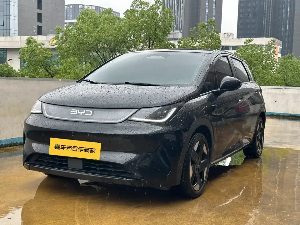 BYD Dolphin dolphin 2025 Smart Driving Edition 520KM Knight Edition 2025 — photo 1, buy with delivery to Moscow