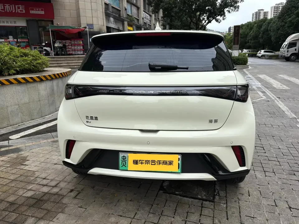 BYD Dolphin dolphin 2025 420KM Free Edition 2026 — миниатюра 2