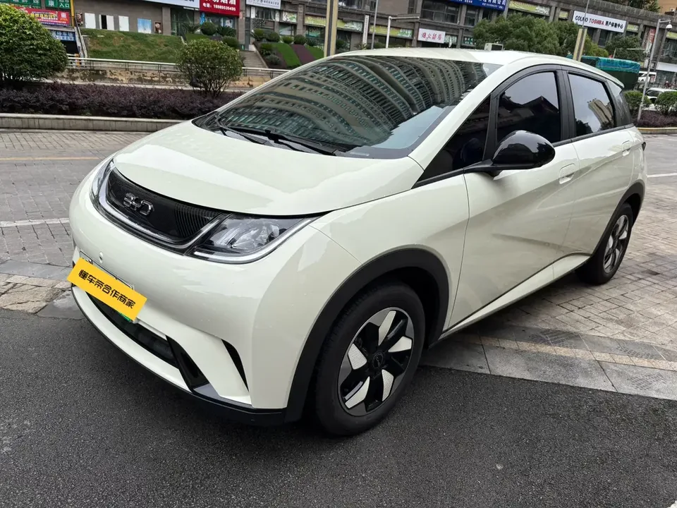 BYD Dolphin dolphin 2025 420KM Free Edition 2026 — фото 1, купить с доставкой в Москву