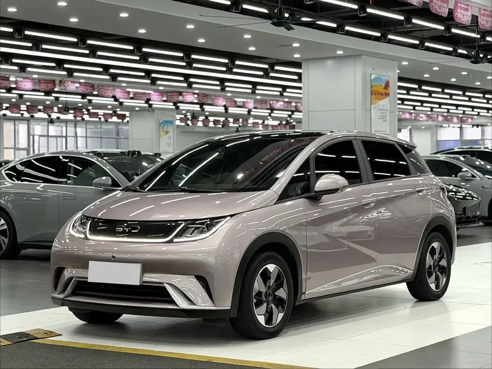 BYD Dolphin dolphin 2024 Honor Edition 420km Fashion Edition 2024 — photo 1, buy with delivery to Moscow