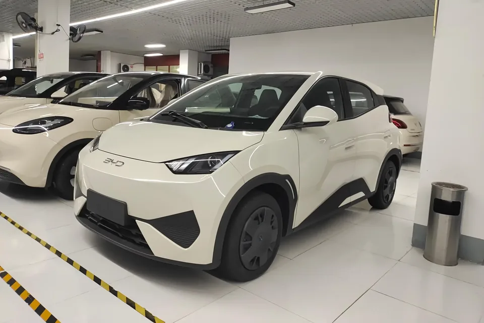 BYD Seagull seagull 2025 305KM Free Edition 2026 — photo 1, buy with delivery to Moscow