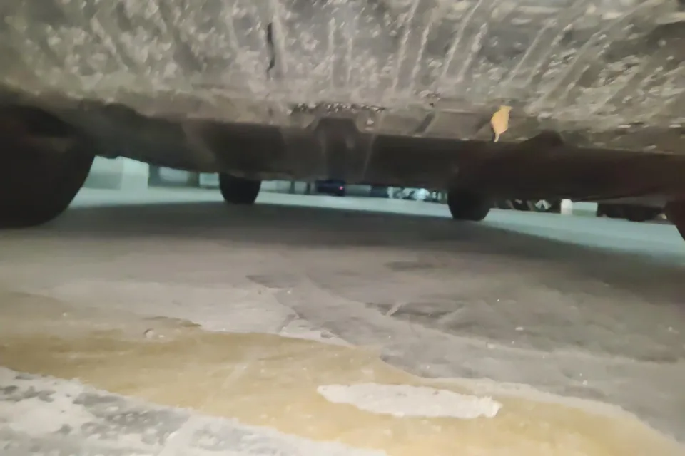 Nissan Sylphy Sylphy 2022 1.6L XL CVT Enjoy Edition 2022 — thumbnail 2