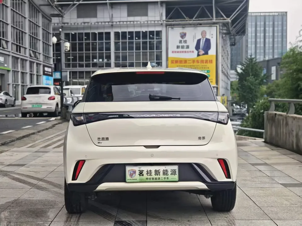 BYD Dolphin dolphin 2025 420KM Free Edition 2026 — thumbnail 5