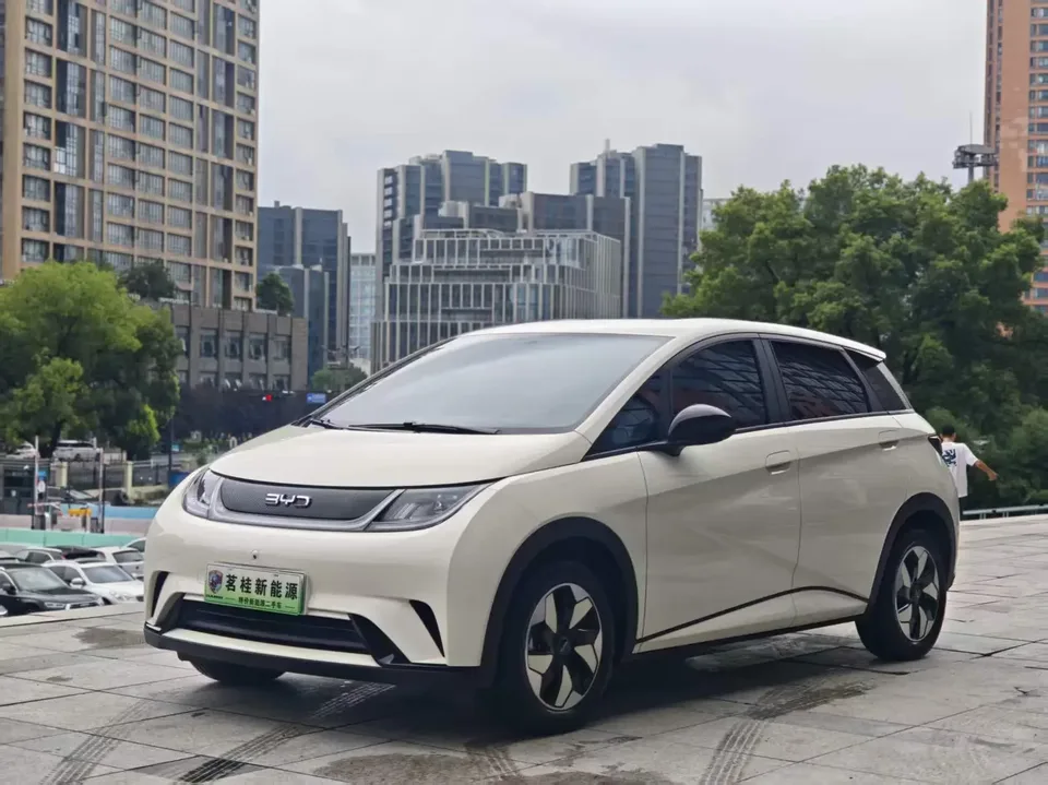 BYD Dolphin dolphin 2025 420KM Free Edition 2026 — photo 1, buy with delivery to Moscow