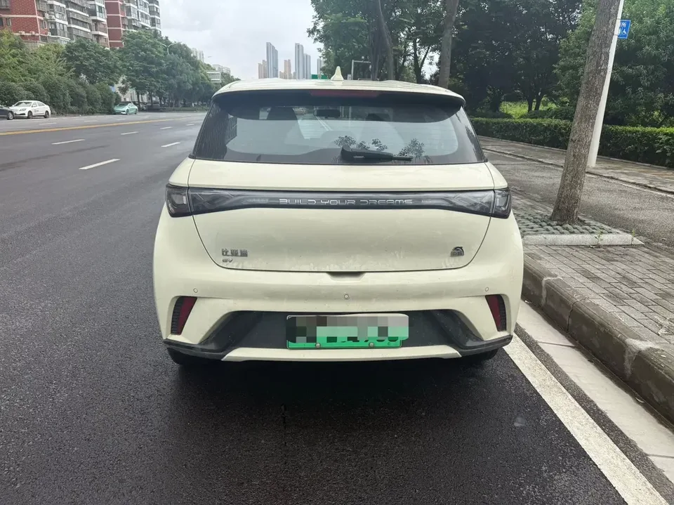 BYD Dolphin dolphin 2023 Free version 2024 — thumbnail 4