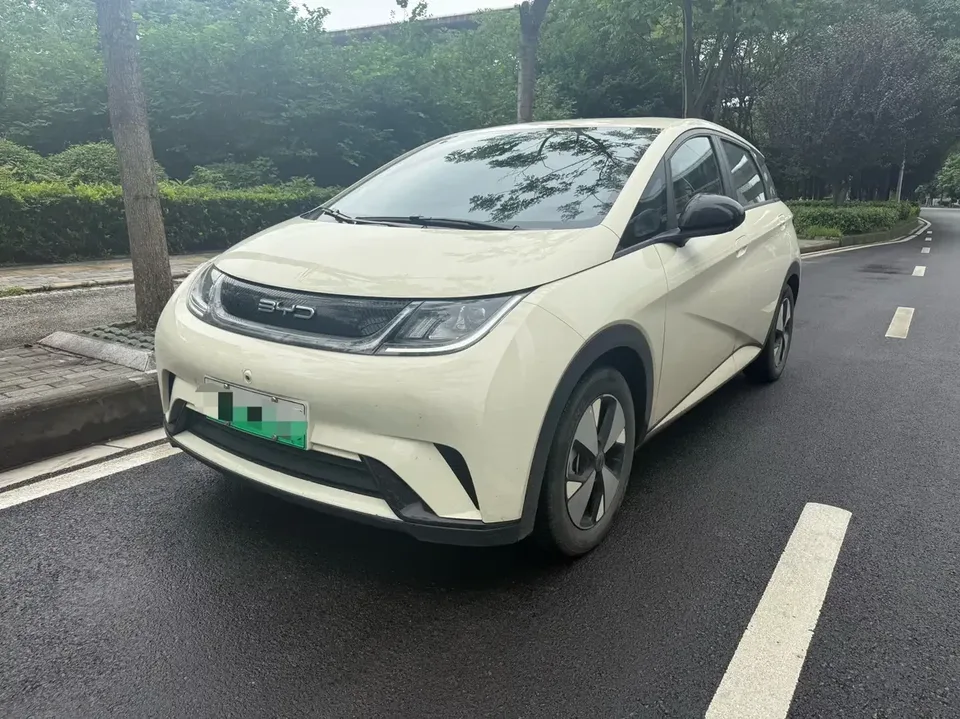 BYD Dolphin dolphin 2023 Free version 2024 — photo 1, buy with delivery to Moscow