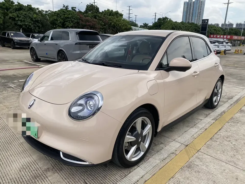 ORA Euler good cat Euler good cat 2022 401km standard endurance premium lithium iron phosphate 2023 — photo 1, buy with delivery to Moscow
