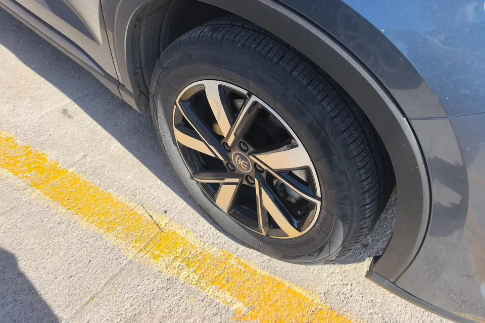 BYD Song Pro DM Song Pro DM 2023 DM-i Champion Edition 110km Overtaking Type 2023 — миниатюра 3