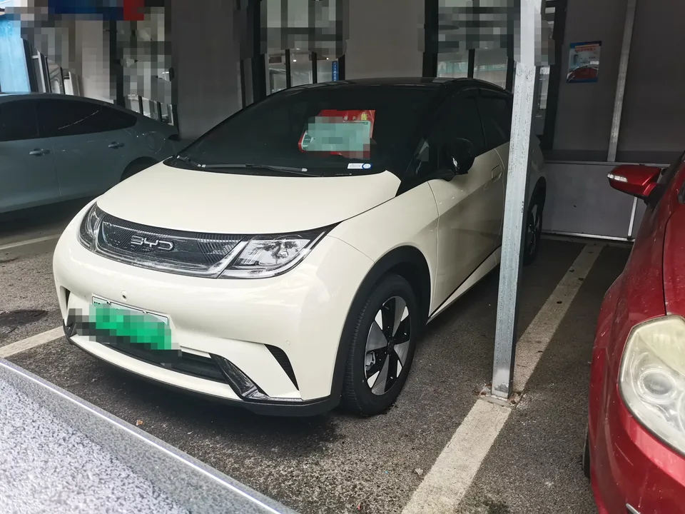 BYD Dolphin dolphin 2023 Fashion version 2023 — photo 1, buy with delivery to Moscow