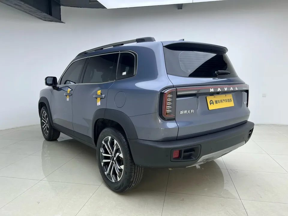 Haval Dargo Harvard dog 2024 1.5T 2WD Border Collie Edition 2025 — thumbnail 2